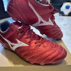 Item thumbnail for item c314faf8-4de6-4099-9807-89c898121a12