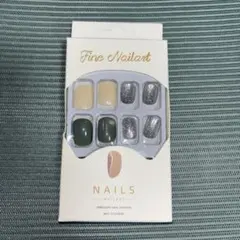 【未使用】 ネイルチップ Fine Nailart
