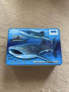 価格相談OK 沖縄美ら海水族館 ジンベエザメ ハンマーヘッドシャーク 缶ケース