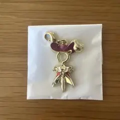 ディズニーストア 短剣 ヴィランズ シークレットチャーム フック船長