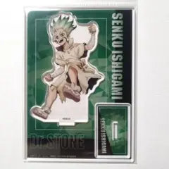 Dr.STONE　石神千空　アクリルスタンド　アニメイト　アニメ5周年記念