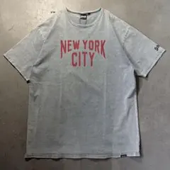 Schott NYC ロゴTシャツ ビッグサイズ 3XL ブルーグレーのサムネイル