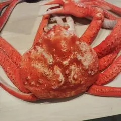 Item thumbnail for item 6076e62a-9113-4ffd-9d19-dd608f077512