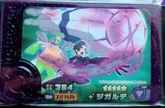 ベストタッグ５弾☆白いジガルデ☆選べるオマケ付き！