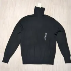 Item thumbnail for item 214d183f-93b6-43bd-9728-01fd3b7c9844