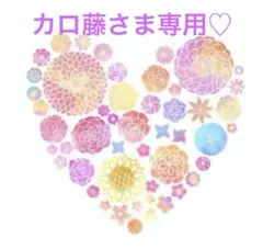 カロさま専用♡