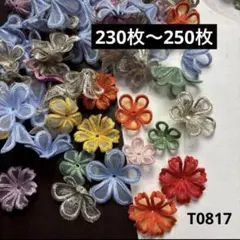 小花　モチーフ230〜250枚