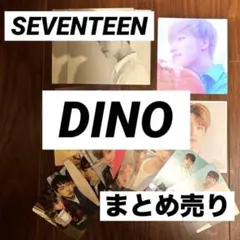 SEVENTEEN セブチ ディノトレカ ポストカード まとめ売り セット