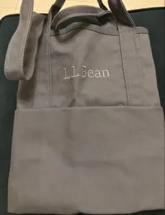 【中古美品】別注 L.L.Bean グローサリートートバッグ Lグレー