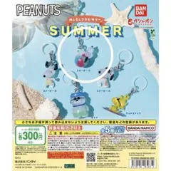 【最安値】PEANUTS めじるしアクセサリー SUMMER