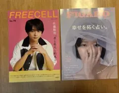 FREECELL vol.75 佐藤勝利　表紙