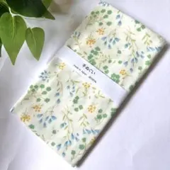 Item thumbnail for item 2df44dd2-6cad-4a41-91c0-a710a9157bad