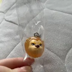 Item thumbnail for item 007c8d46-9293-457e-9021-a0d4d5935be4