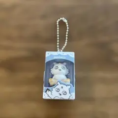ちいかわ　チョコボックス　あのこ