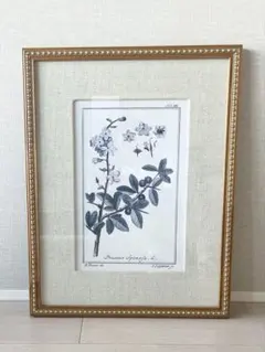 Item thumbnail for item 1c317c44-f4a1-464d-889c-afd40b900dbf