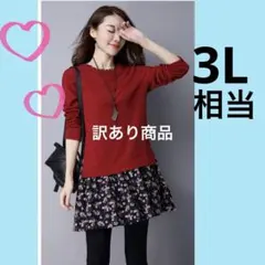大きいサイズ　レディースチュニック　ワンピース　トップス　花柄4L 赤