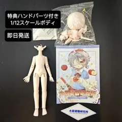 フルーツ飴研究所 ボディ ハンドパーツ 1/12 ドール ブラインドドール