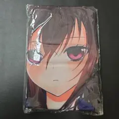 #8491 【未開封】 ストライク・ザ・ブラッド 抱き枕カバー 姫柊雪菜 ストライク・ザ・ブラッド 姫柊雪菜 抱き枕カバー 真夏の夜の夢