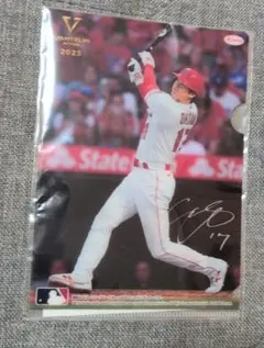 Item thumbnail for item 3acf0e30-f165-41a6-a064-ad8006a4555e