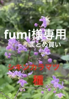 fumi様 リクエスト 4点 まとめ商品