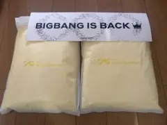 BIGBANG20周年コンサート 韓国 レインコートセット スローガン