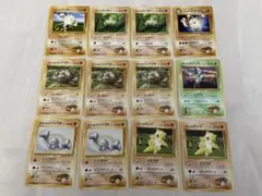 ポケモンカードセット（タケシ）