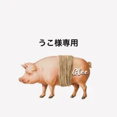 うこ様 リクエスト 2点 まとめ商品
