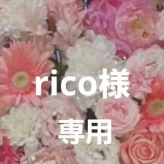 rico様 リクエスト 2点 まとめ商品