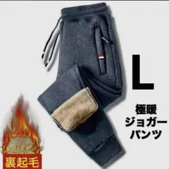 ジョガーパンツ グレー L 裏起毛 ズボン 防寒 極暖 ボア 厚手 男女兼用