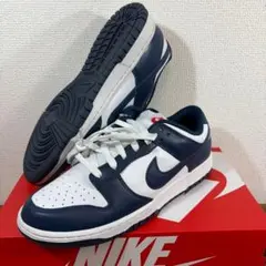 27cmNIKE DUNK LOW RETRO dd1391-400