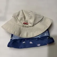 Item thumbnail for item e0b7cd87-2bdb-4518-85a8-3cd0e150390f