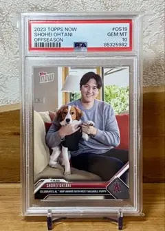 【PSA10】 大谷翔平　2023 TOPPS MVP デコピン