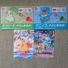 ポケットモンスター　フライヤー！ポケモン30周年　映画　チラシ