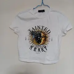 Item thumbnail for item 54335032-62c0-4da0-896e-becf63ad1288