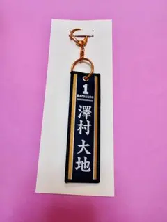 澤村大地 フライトタグ