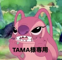 TAMA様専用