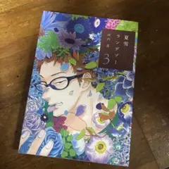 夏雪ランデブー 3