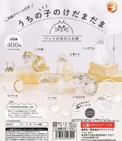 うちの子のけだまだま コンプリート 全6種セット 가챠