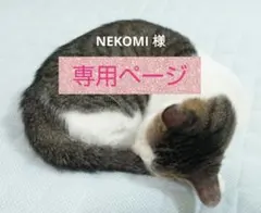 【同梱用 専用ページ】