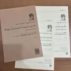 マウロ・.ジュリアーニ (N.コスト編) ギター二重奏のための協奏曲第2番