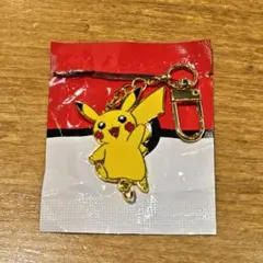 ポケモンセンター限定 メガトウキョーのピカチュウ メガリザードン