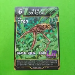 2026年最新】オオキバウスバカミキリ 標本の人気アイテム - メルカリ