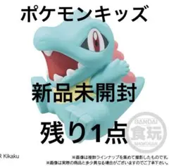 バンダイ　ポケモンキッズ　ワニノコ　30周年スペシャル　vol1 ソフビ　人形