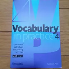 Vocabulary in Practice 4