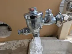 26075446_3