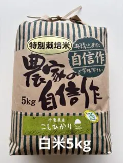 数量限定 大特価セール 千葉県いすみ市産 コシヒカリ 特別栽培米 無
