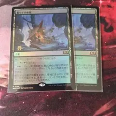 MTG 放浪する救い手【2枚セット】 - メルカリ