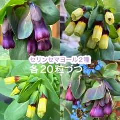 ひろココ♡様 リクエスト 2点 まとめ商品