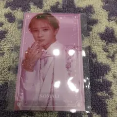 キャッテリア　ランダムハーフブロマイド　ソマリ