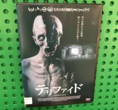 テリファイド　DVD